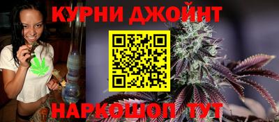гидра Тара