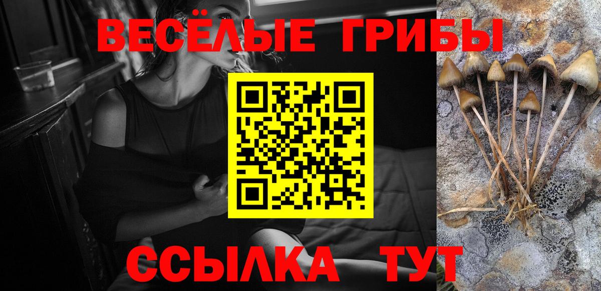 Галлюциногенные грибы Psilocybine cubensis Реутов