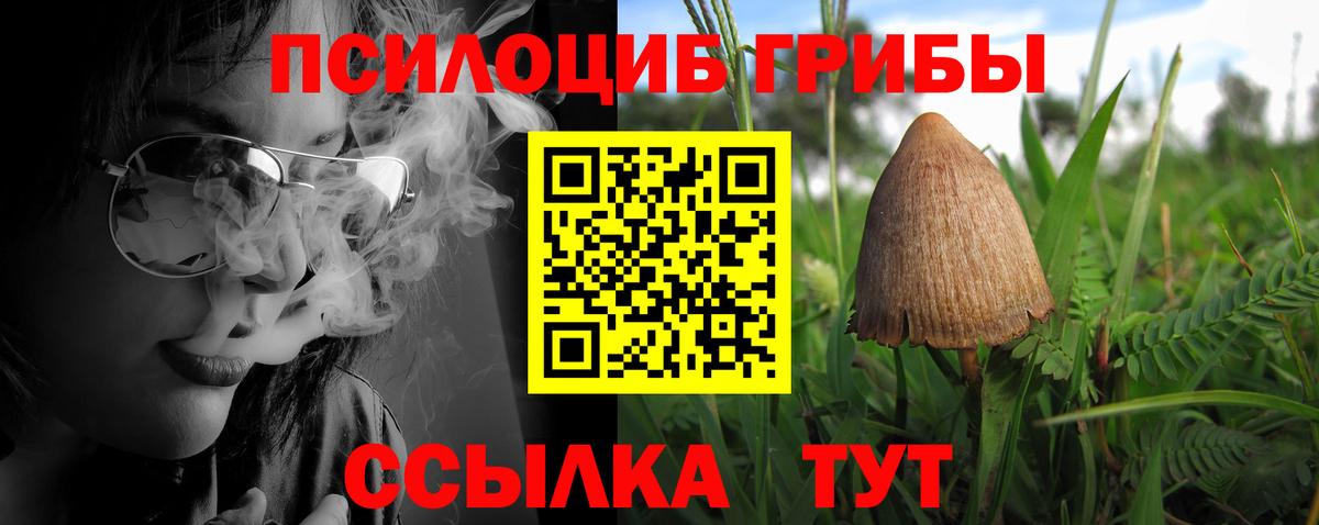 Реутов  Галлюциногенные грибы ЛСД  Галлюциногенные грибы Magic Shrooms  Вход с VPN 